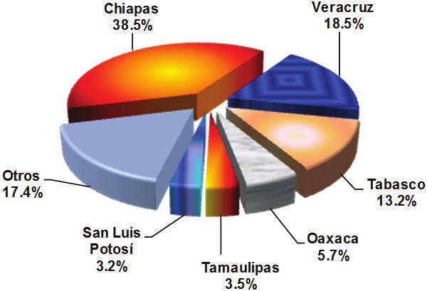 Los estados de Chiapas, Veracruz, Tabasco, Oaxaca y Tamaulipas concentran 79% de las devoluciones de extranjeros por la autoridad migratoria.