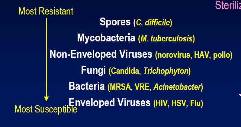 La TB está en el top del Diagrama vertical de microorganismos según su resistencia a desinfectantes.