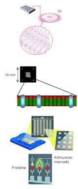 Microarrays de proteínas Formatos CD de centrifugación: el giro del CD hace que la fuerza centífuga dirija la muestra a través de microcanales.