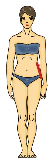 15) Altura de cadera Distancia tomada desde el costado de la cintura sobre el cuerpo hasta la altura de los glúteos.