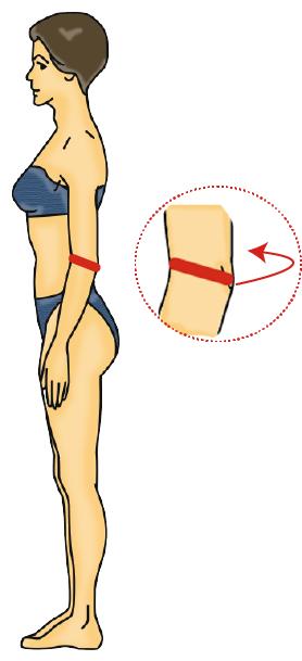 8) Contorno de brazo Es el perímetro horizontal en la zona de los bíceps.