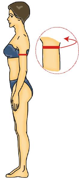 Imagen 32 Contorno de brazo 9) Contorno de codo Es el perímetro que existe en la articulación humero radiocubital (codo).