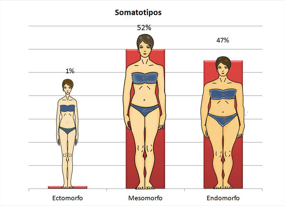 Los morfo tipos femeninos más frecuentes en un rango de 20-29 años de acuerdo a nuestra investigación son: silueta rectangular