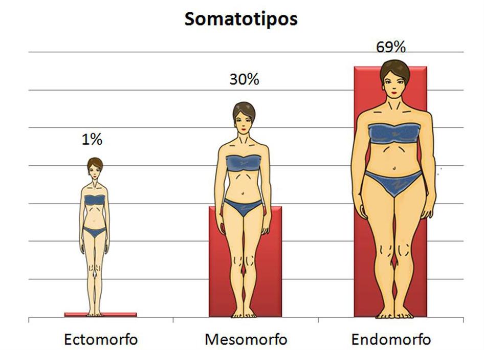 Los morfo tipos femeninos más frecuentes en un rango de 30-39 años de acuerdo a nuestra investigación son: silueta rectangular con