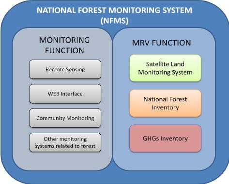 Relación entre la MNV de las actividades de REDD+ y los sistemas nacionales de vigilancia forestal Dos funciones simultáneas de los SNVF: Función de vigilancia Es más que solo la evaluación del