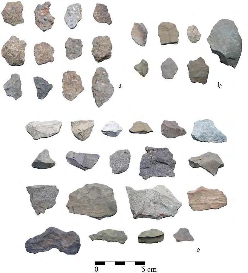 174 Figura 54 Desechos de talla, sector Reserva del sitio Agua Caliente a. Desechos de talla asociados al mantenimiento de artefactos; b. Lascas normales; c. Lascas anchas.