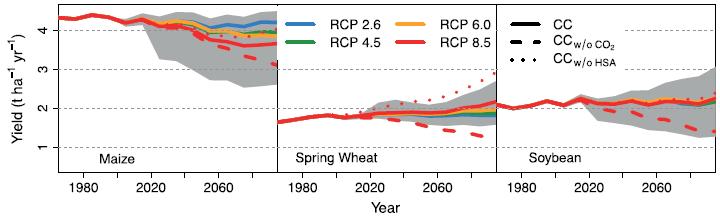 PROYECCIONES DEL RENDIMIENTO Climate change is projected to undermine food security Model Pegasus impacts of mean