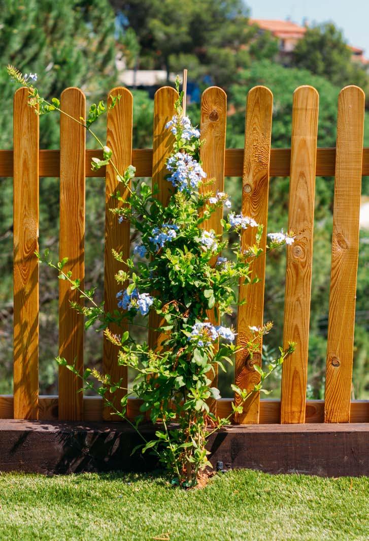 Incorpora una planta sobre la valla de madera para darle un toque especial.