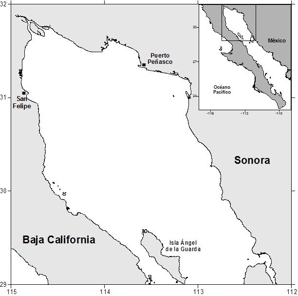 fenómeno de surgencias eólicas se presenta en invierno a lo largo del Golfo de California por lo que esta zona es altamente productiva (Lluch-Cota et al., 2007). Alto Golfo de California Figura 2.
