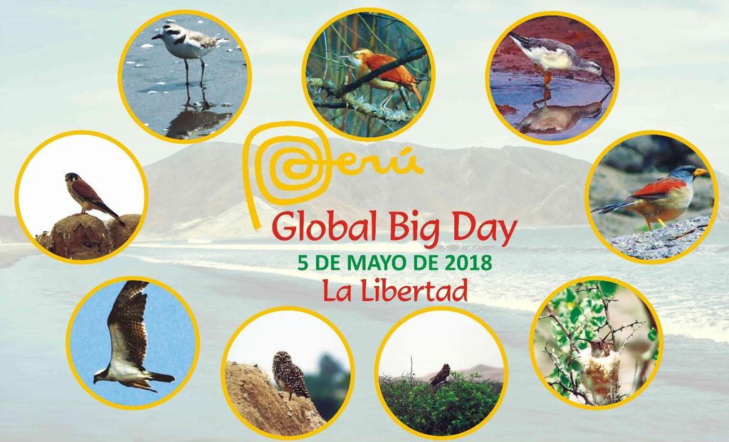 La Libertad participará en el Global Big Day 2018 Gerencia del Ambiente realizará avistamiento en Sánchez Carrión Este año el gobierno regional de La Libertad participará activamente en la IV edición