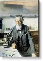 Elias Metchnikoff (1845-1916) Médico Ruso premio nobel de