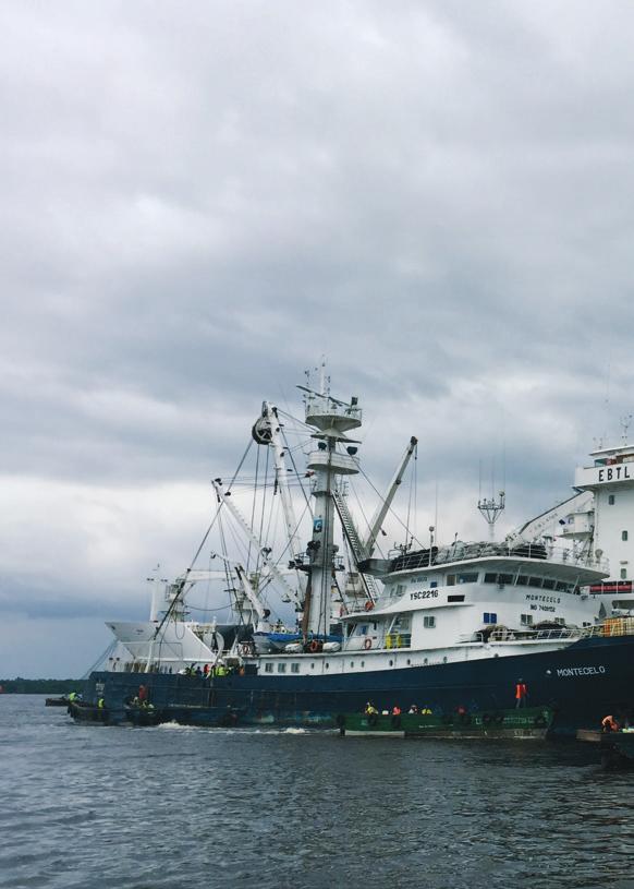 32 Certificación de la pesca responsable de atún AENOR ha concedido los primeros certificados según la a siete compañías asociadas a OPAGAC.