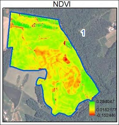 ejemplo, planos con satélite para trabajos de detalle (Figura 4). Figura 4. Imagen de índice verde o NDVI obtenida por Landsat 7 (izquierda) y por formato aéreo (derecha) y UAV de 6 hrs de vuelo.