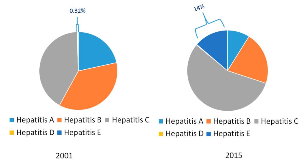 Es la hepatitis E un problema emergente en Europa?