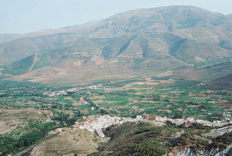 1.5. Sector Alpujarreño-Gadorense Se extiende por el sureste de la provincia de Granada y suroeste de la de Almería e incluye las sierras de Lújar, Contraviesa, Gádor y parte media y baja de las