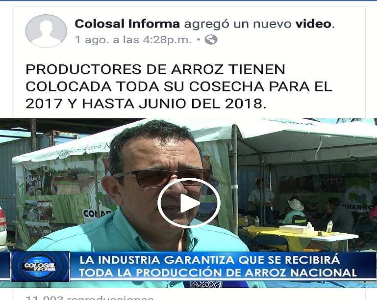 Alexánder Mendoza, director de Investigación de Conarroz, entrevistado por Colosal Tv.