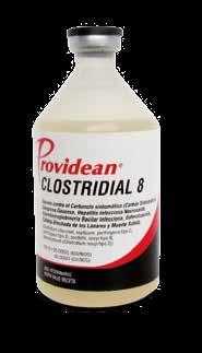 Clostridial 8 TARJETA ROJA A LAS ENFERMEDADES CLOSTRIDIALES REGISTRO ICA No. 7373 - BV. COMPOSICIÓN ANTIGÉNICA: Clostridium Chauvoei 20 % - Clostridium Septicum 20 % Clostridium Perfringens Tipo C.