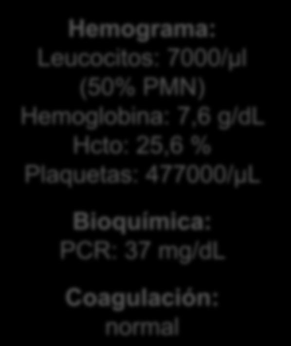 Hemoglobina: 7,6 g/dl Hcto: 25,6 % Plaquetas:
