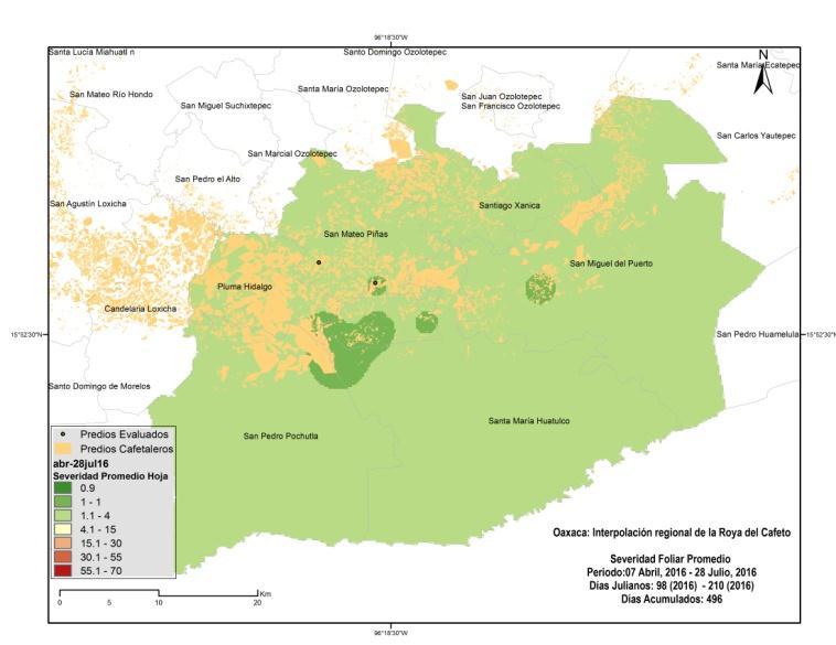 Hectáreas dañadas por clase severidad Severidad foliar por Variedad Defoliación promedio en Oaxaca D E F