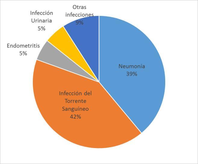 neumonías asociadas a ventilación mecánica; seguido de torrente sanguíneo (6%), infección del tracto urinario (5%). REGIÓN CAJAMARCA: Distribución porcentual de IIH-IAAS, por Servicio.