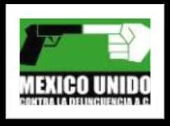 MITOFSKY sobre la economía, el gobierno y la política en México.