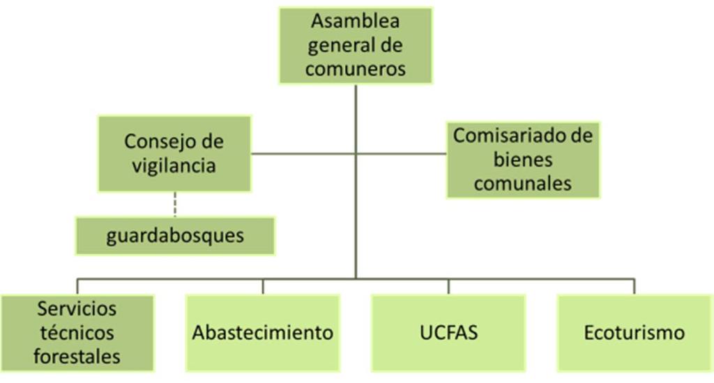 Organización para la conservación Conservación de manera eficiente yefectiva(meffe et al., 2002).