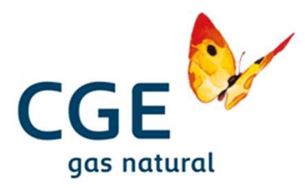 ANÁLISIS RAZONADO DE LOS ESTADOS FINANCIEROS CONSOLIDADOS DE CGE GAS NATURAL S.A. Por el ejercicio terminado al 31 de diciembre de 2017 1.- RESUMEN La creación de CGE Gas Natural S.A. (en adelante,