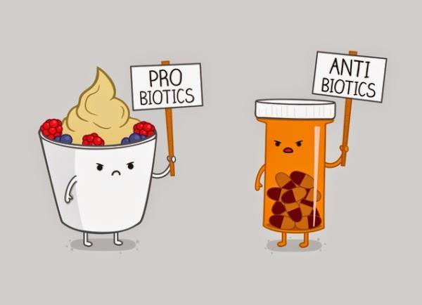 Probióticos Llegan al intestino y son las bacterias entrenadoras, 80% de ellas se van y el 20% se van a quedar en este ecosistema: Modulación respuesta inmune Activación del sistema