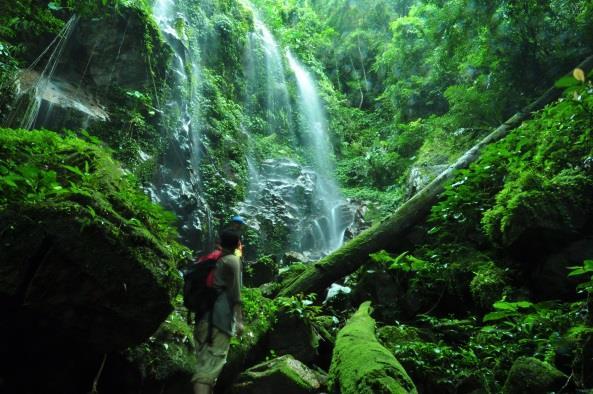 BELUM Hacia el norte del Lago Temenggor, en el norte de Malasia Peninsular (Estado de Perak), hay una enorme zona de jungla virgen conocida con el nombre de Reserva Forestal de Belum.