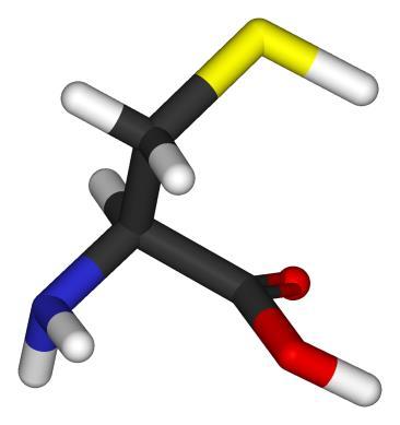 Metalotioneínas Hasta un 30% de sus aminoácidos son cisteínas Almacenamiento y transporte de Zn Excelentes quelatantes para Cd y Hg, ayudan a la desintoxicación