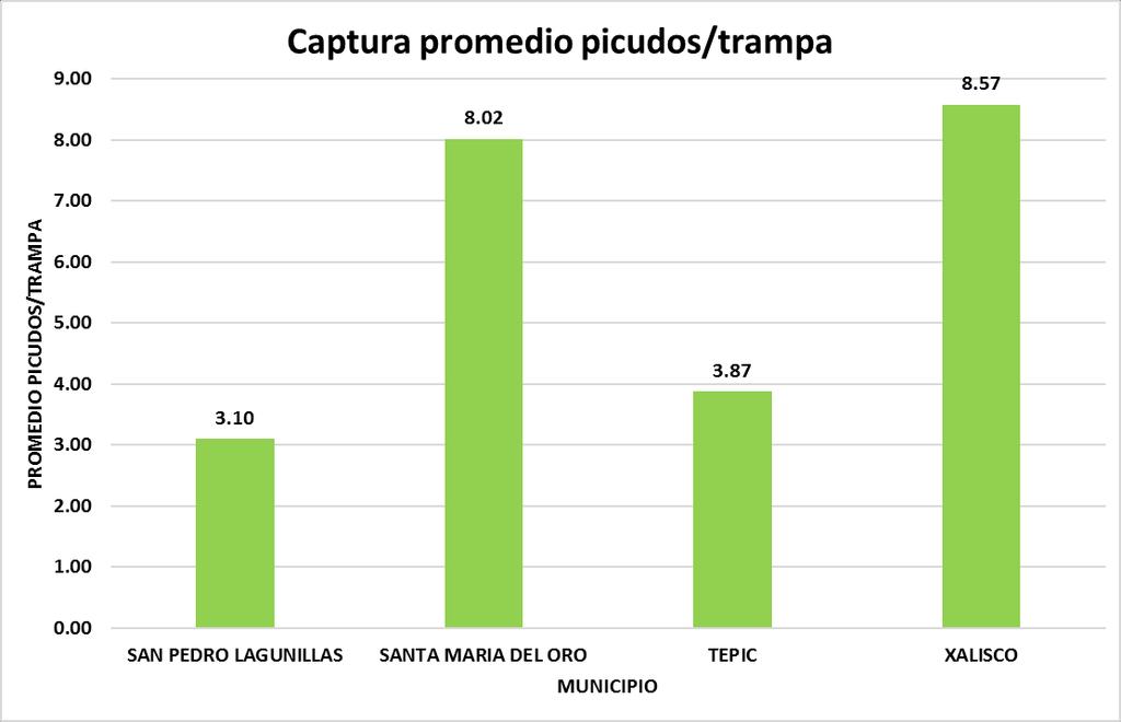 Para el mes de noviembre de 2015 las capturas promedio en el estado de Nayarit son de 5.21 picudos/trampa, con los siguientes resultados por municipio: Grafica 1.