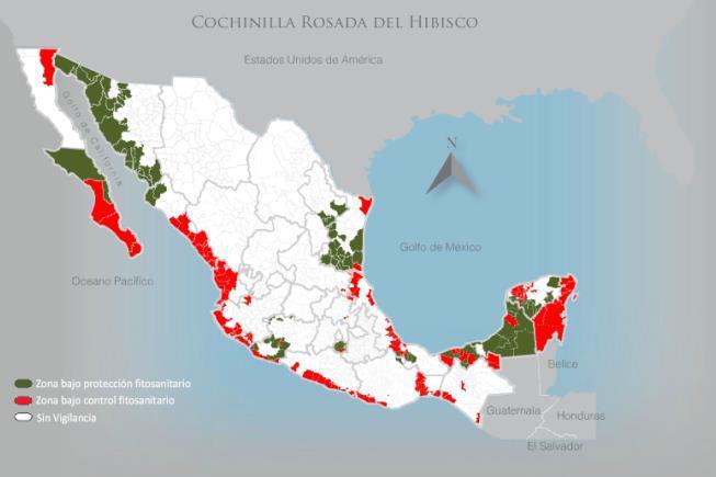 Situación Nacional Cochinilla Rosada 3.