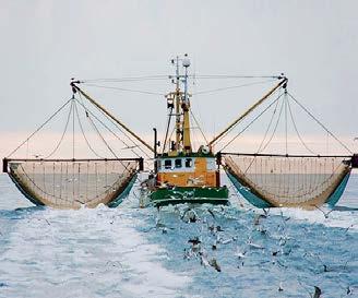rigores de la industria pesquera comercial.