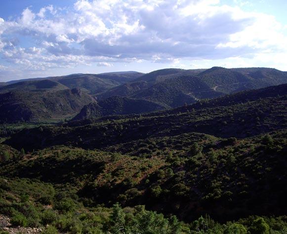 La ruta transcurre por el norte de la comarca y sale de la aldea Cuesta del Rato, pasando por el Turia junto a la aldea de Mas de Jacinto, atraviesa paisajes agrestes, campos de cultivo, montes de