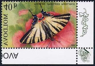 2003 Abril 30 : Lepidoptera (4