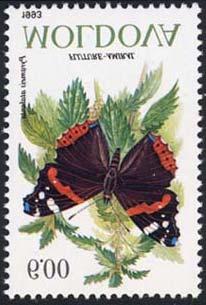1993 Diciembre 22 : Lepidoptera