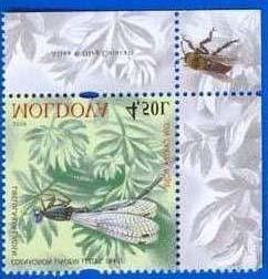 Coleoptera : Carabidae : Carabus