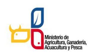 PERFIL ORGANIZACIONAL MISIÓN La Agencia Ecuatoriana de Aseguramiento de Calidad del Agro AGROCALIDAD, es la Autoridad Nacional Sanitaria, Fitosanitaria y de Inocuidad de los Alimentos, encargada de