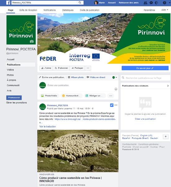 Facebook: Pirinnovi_POCTEFA + 160 publicaciones el segundo año Fin del primer año: 30 abonados