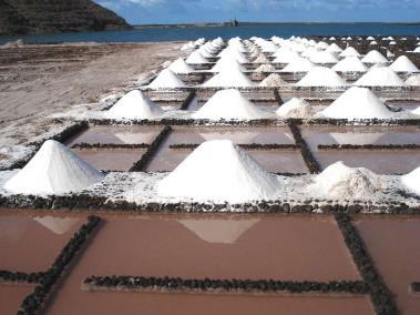 Ejecutivo español y a la Unión Europea para que la sal marina artesanal de las islas deje de regirse por el régimen minero y se considere un producto agroalimentario.