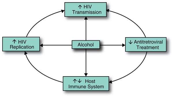 ALCOHOL Y SU RELACIÓN CON VIH Aumenta la Transmisión de VIH Aumenta la Replicación de VIH ALCOHOL Disminución del efecto