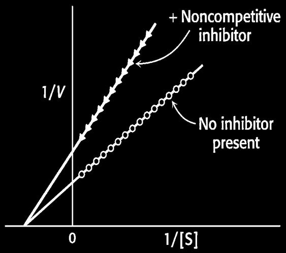 α K m / α Inhibición No Competitiva Sólo se daría cuando el inhibidor interfiriera con la catálisis, sin