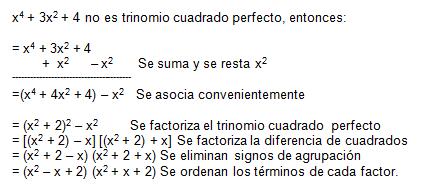 * Comprende y aplica la factorización como un recurso algebraico necesario para simplificar expresiones algebraicas complejas.