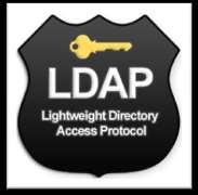 Instalación y configuración del servicio LDAP - Vamos a instalar el demonio del servicio LDAP, slapd, y el paquete de utilidades de gestión ldap-utils #apt-get install