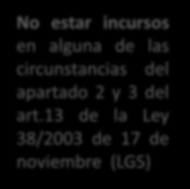 13 de la Ley 38/2003 de 17 de noviembre (LGS) No