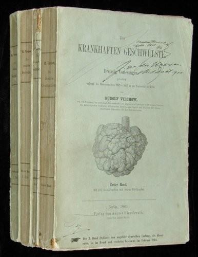 1855: Virchow postula