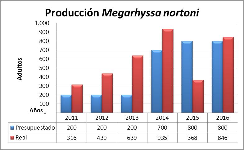 Esta cifra representa un aumento en la producción de 2,3 veces respecto de la producción alcanzada el año anterior.