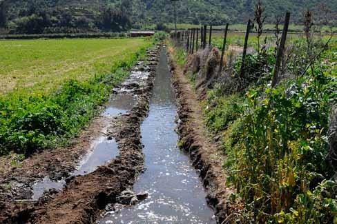 El primer porcentaje revela la relación intrínseca que existe entre agua y agricultura y otorga a este sector la gran responsabilidad de preservar los recursos hídricos, al tiempo que le abre la