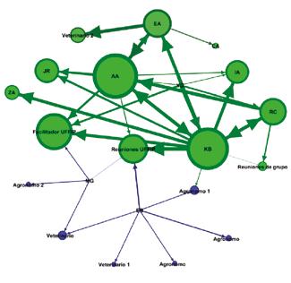 de vida de las familias. Figura 1 - Mapa de redes visual (Williner, 2012). En los grafos los círculos o puntos representan a los actores sociales y las líneas representan los vínculos entre estos.