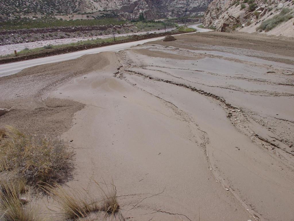 Flujo de detritos fangoso, Mendoza,